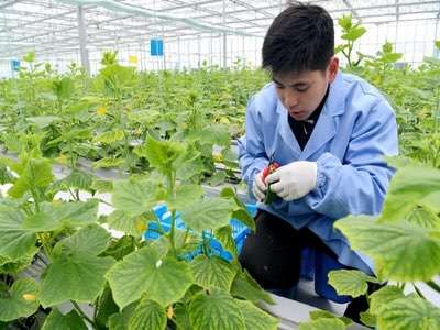 农业生产实现物联网化有什么好处？