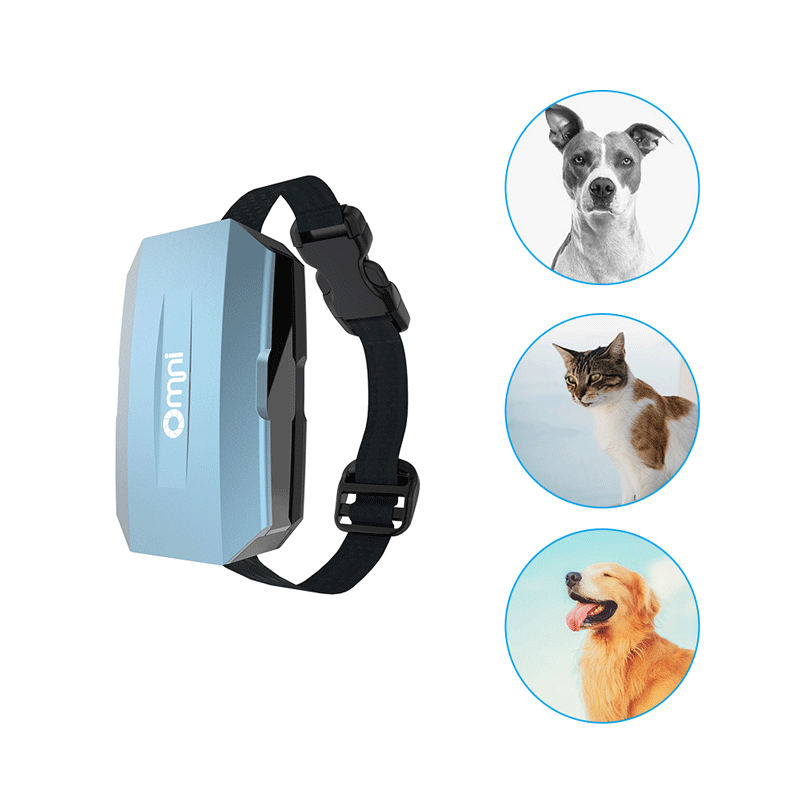 熊猫体育宠物定位器可以解决哪些问题？